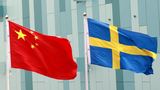 中国驻瑞典大使馆再次提醒中国公民防范语音电话电信诈骗